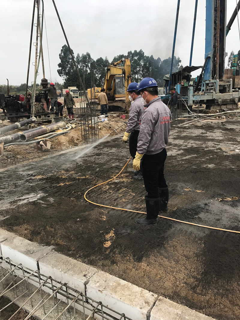 新建白蟻預防