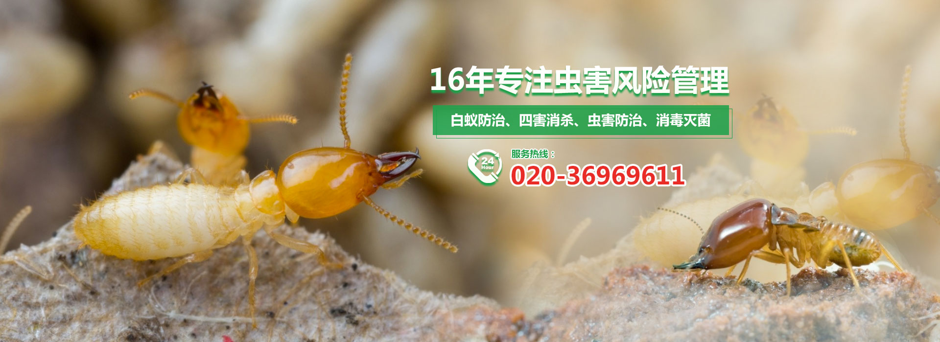 16年專注蟲害風險管理